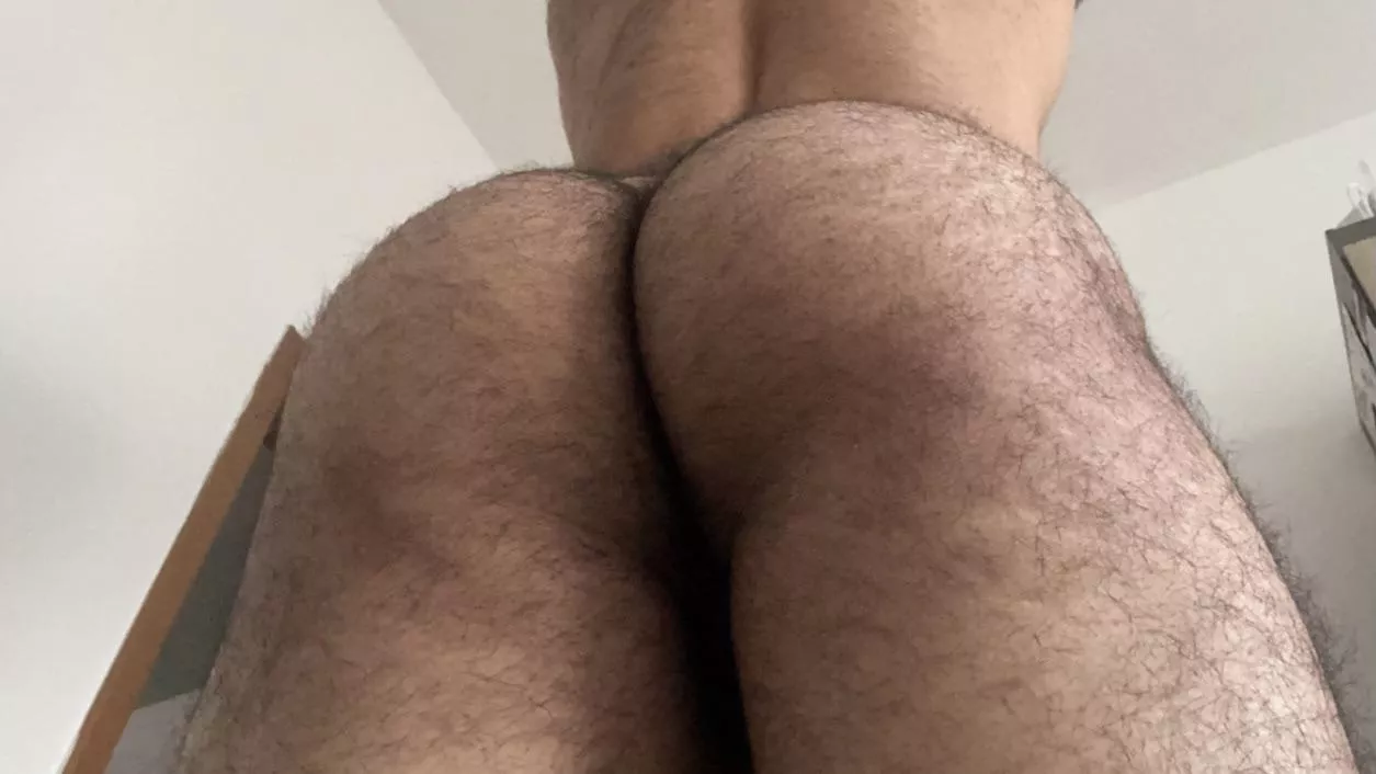 it is hairy enough? posted by zerohoures