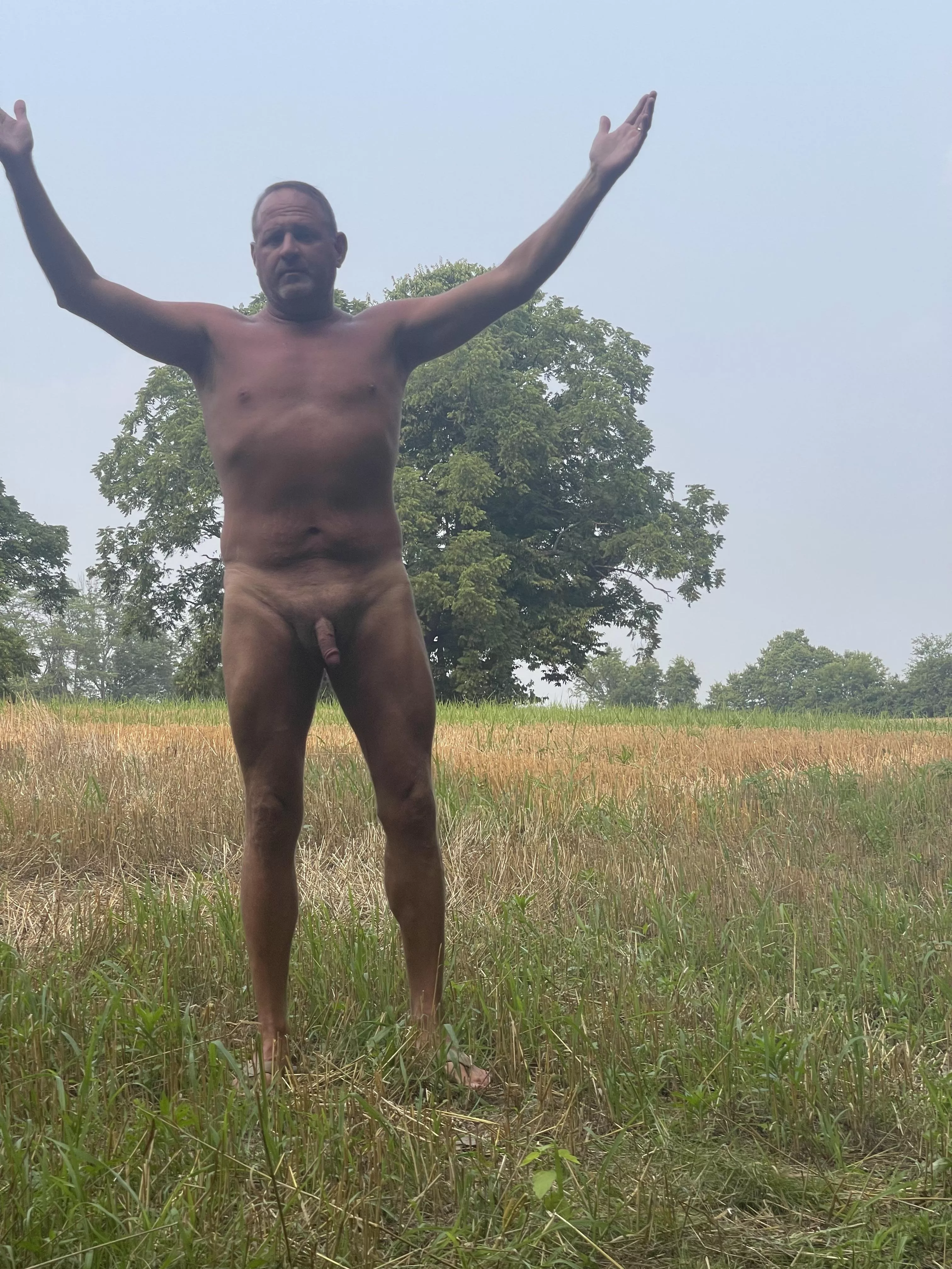 Little more in focus! Fields are empty! posted by Thecricket142