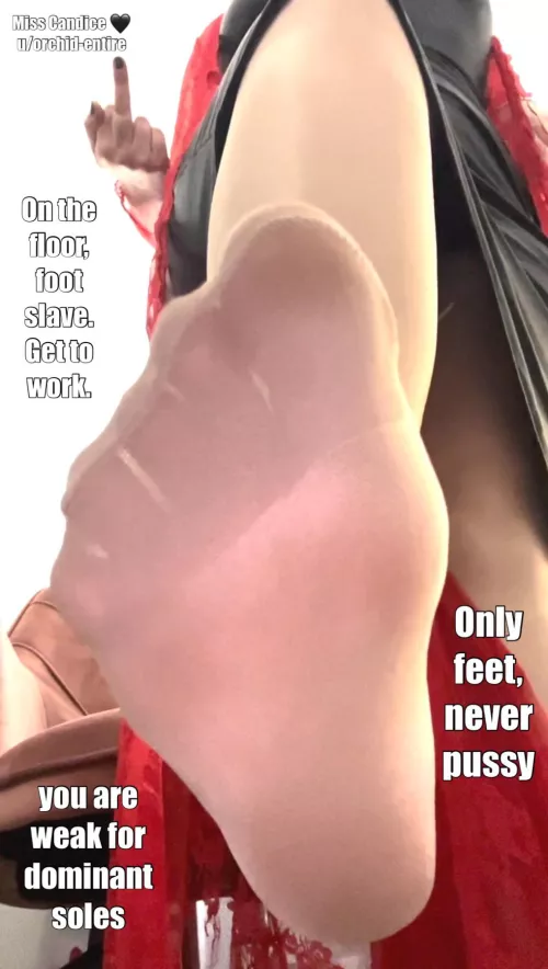 you are weak for dominant soles but when I add stockings to that, your weakness becomes even more evident. by Orchid-Entire