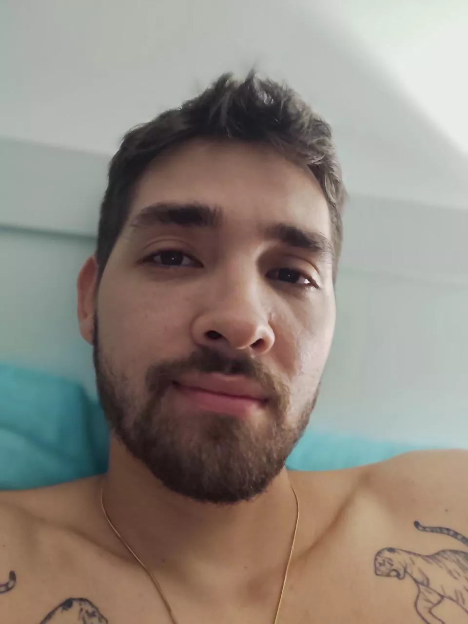 Good morning posted by Mission_Bad_5657