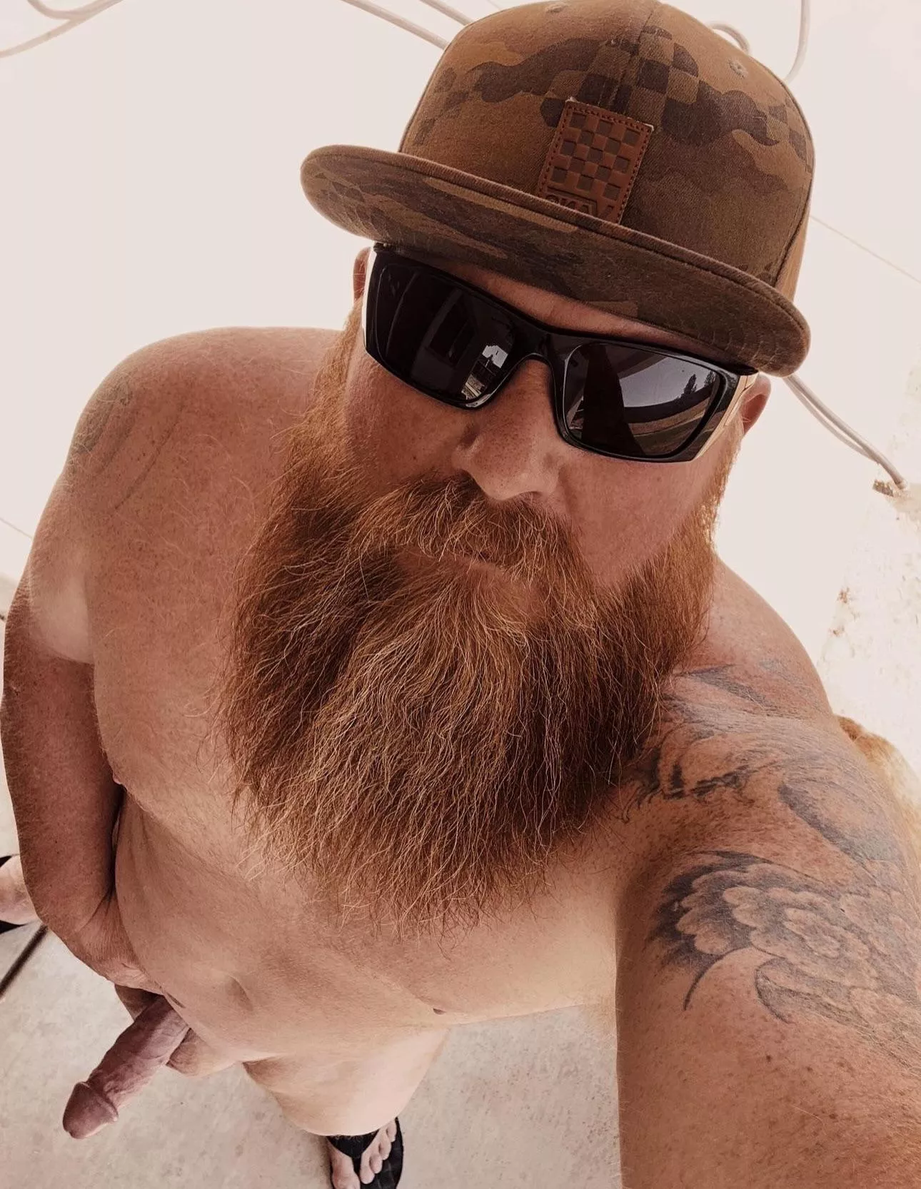 Tuesday Morning posted by beardedheathen69