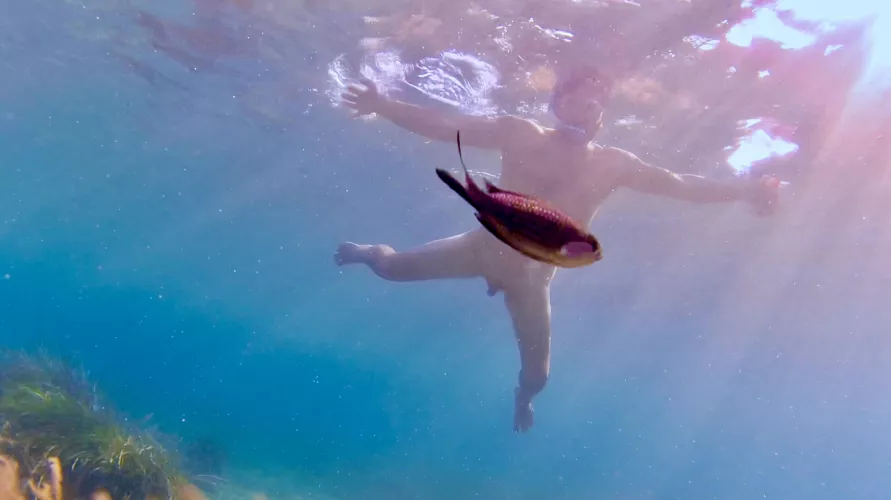 Wife managed to snap this photo of a fish while we were skinny dipping in Greece 🇬🇷 😁 by blooper1112