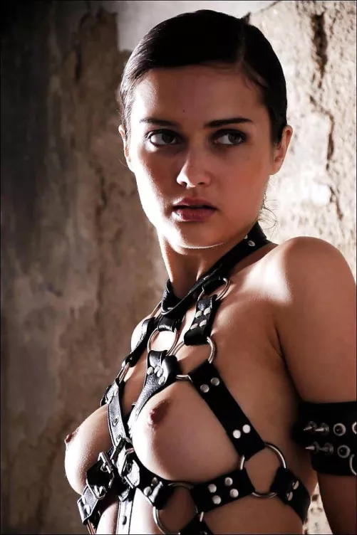 Harness by 0rangeeAppeal