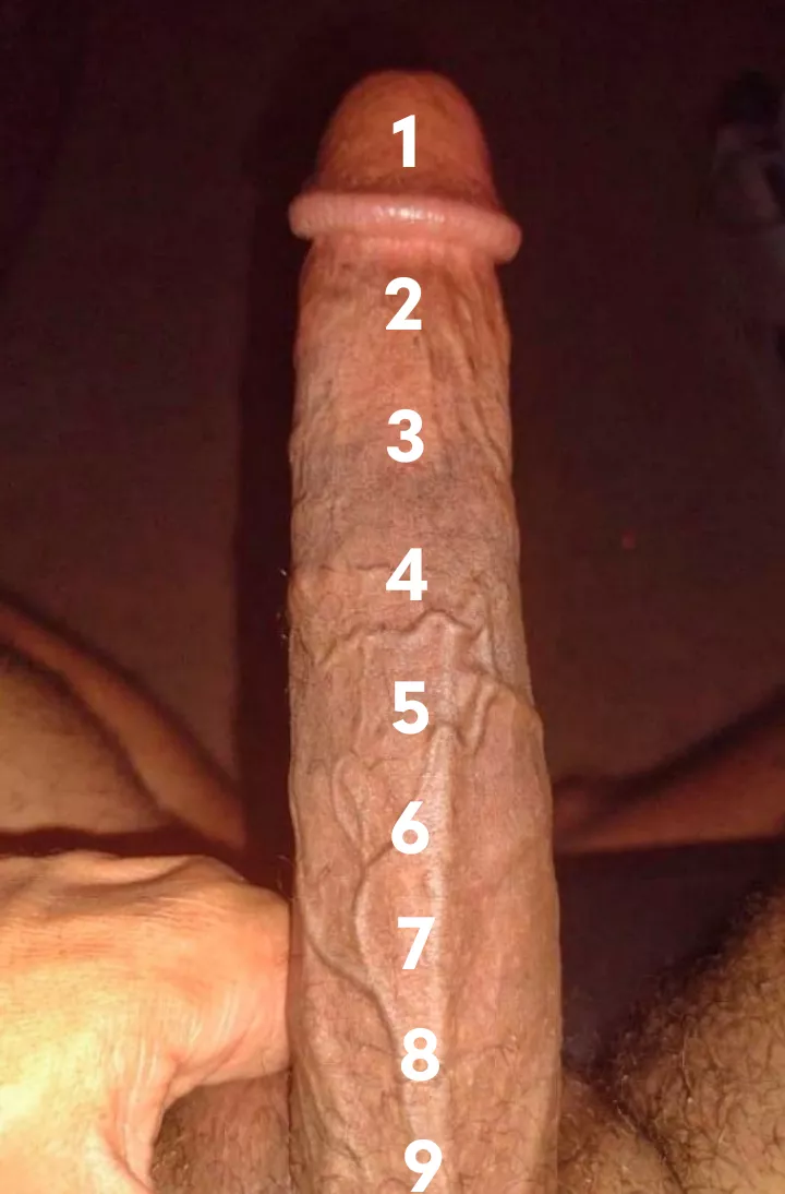 How Much Are You Taking, Every Inch Challenge 😉 posted by Tsunami3x