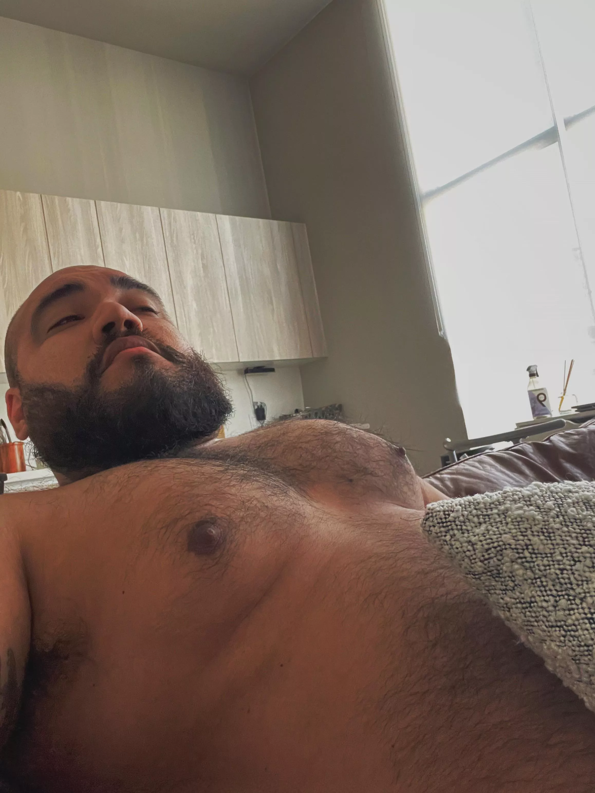 Just lounging today posted by Lzaddy