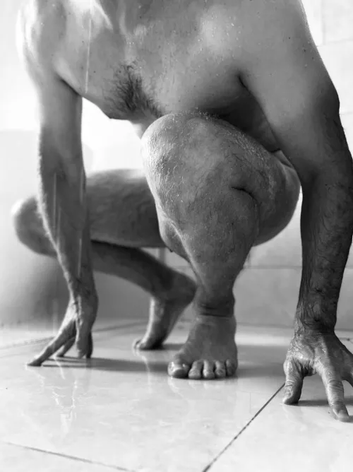 Poised and posed by will-shears