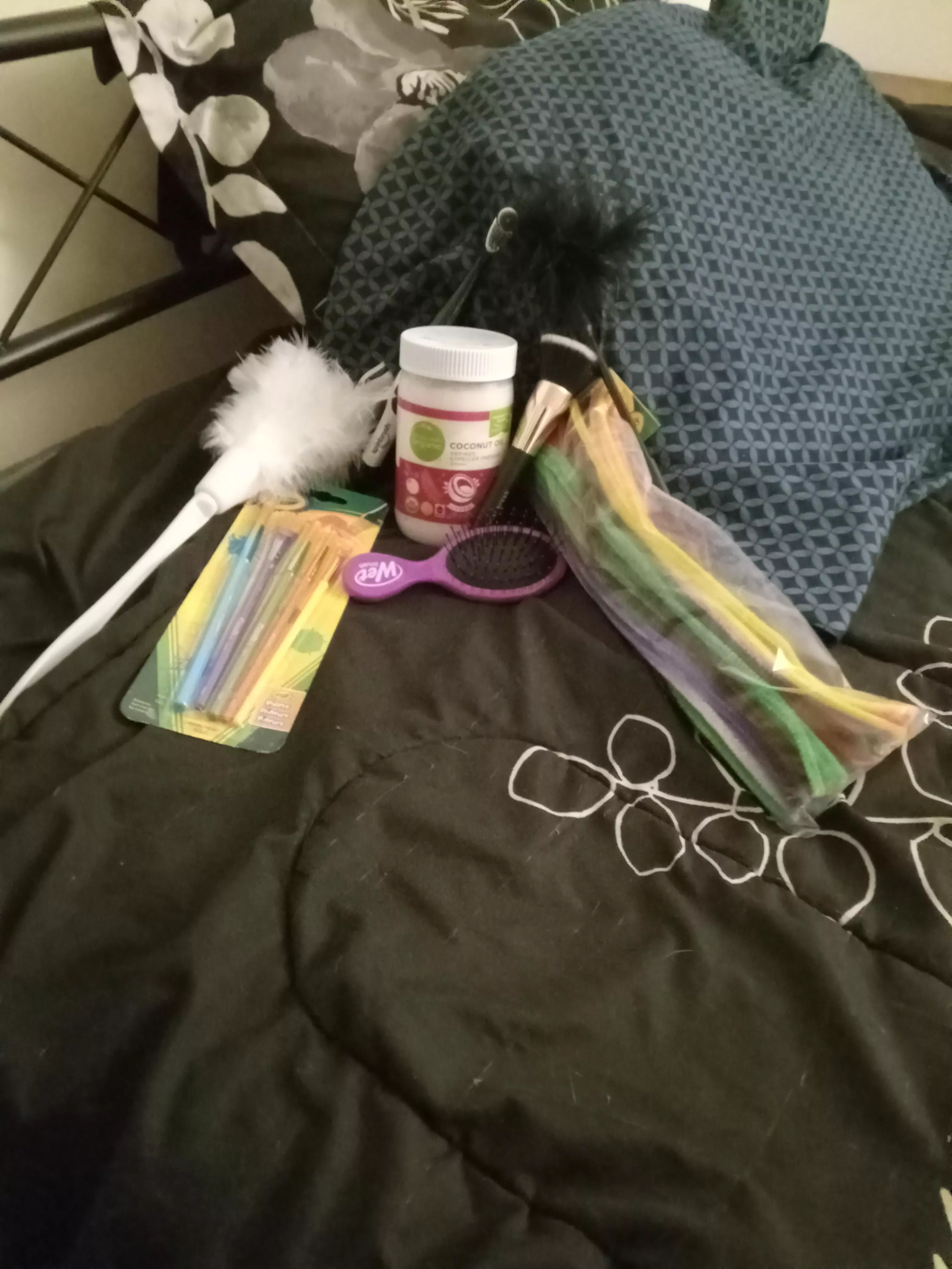 The Dream is Coming True posted by DragoolGreg