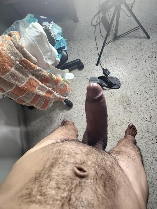 This is what your want? by Thickestcaribeancock