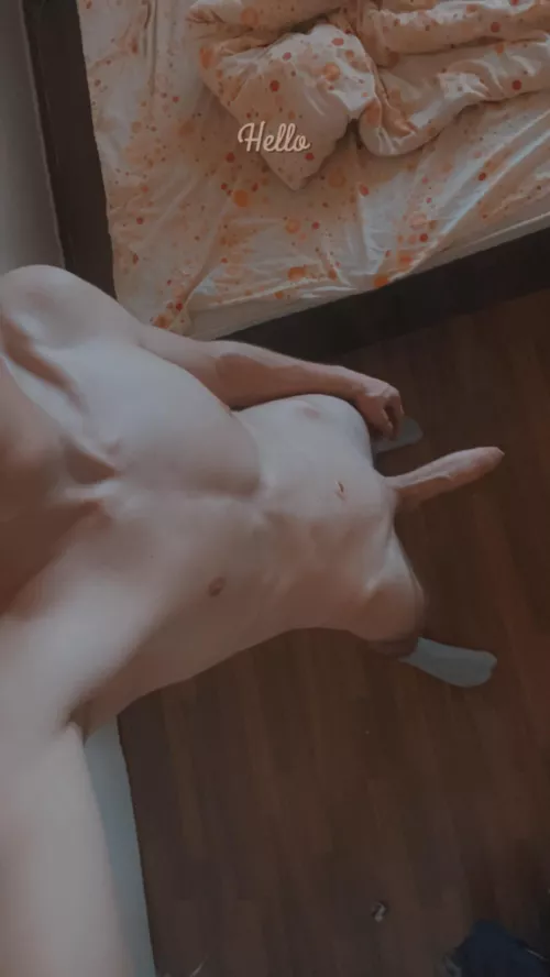 Who wants me? 🥰 by Diligent_Fun5274