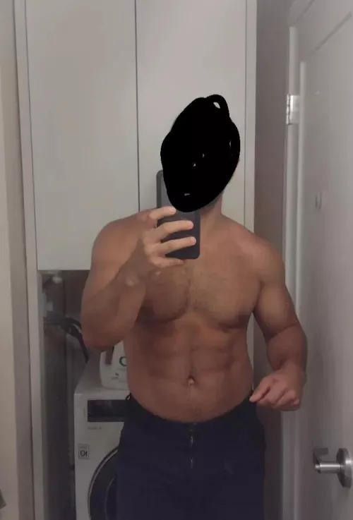 33 American bull in Dublin by pornkhal