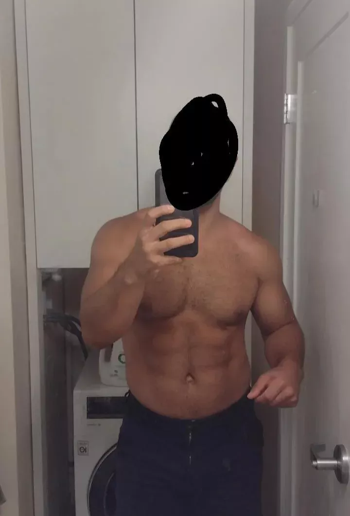 33 American bull in Dublin posted by pornkhal