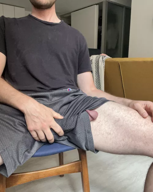 Can’t get much done wearing these shorts. by jockoh69