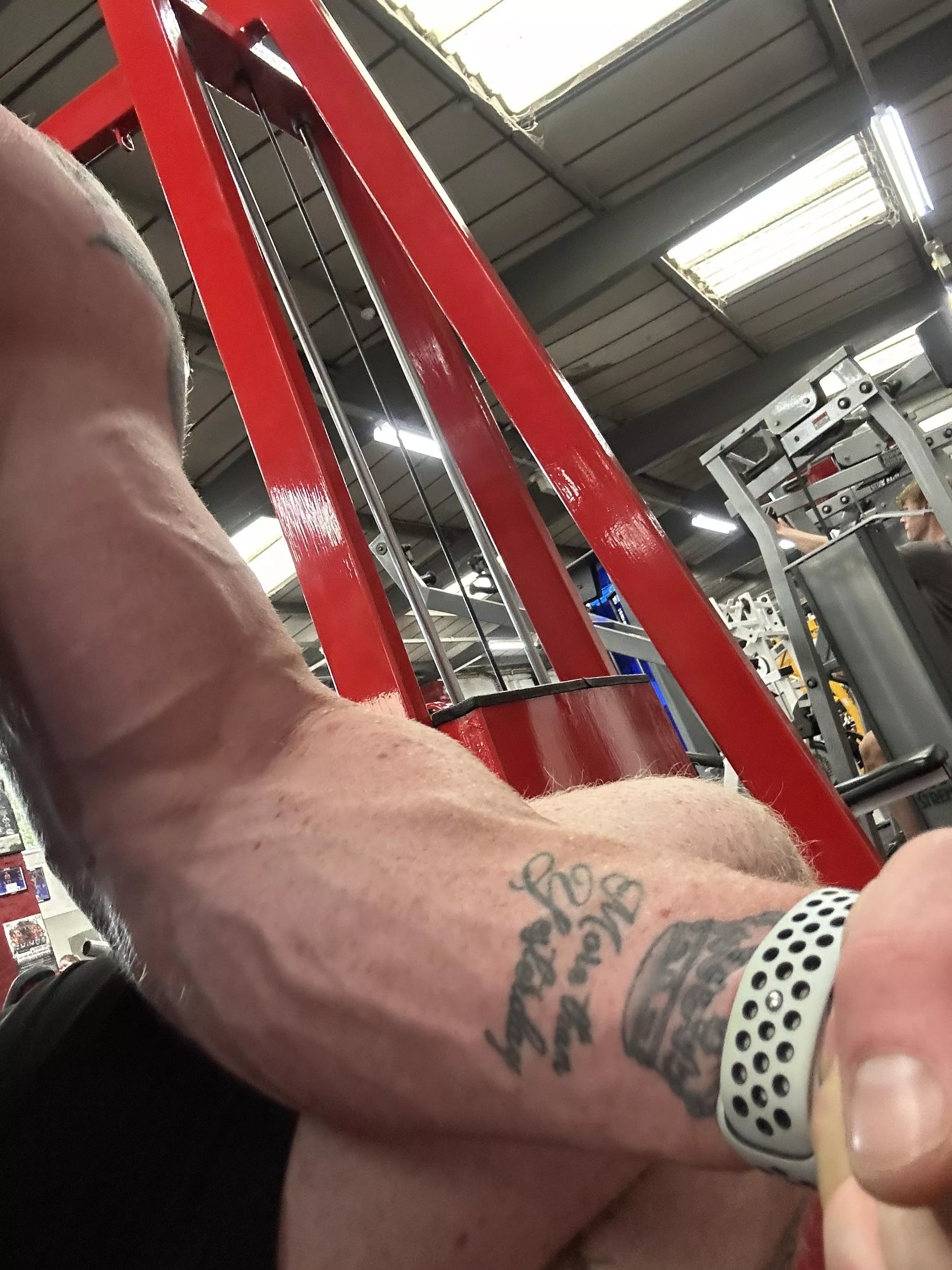 How’s my forearms looking? posted by GingerMuscleMan