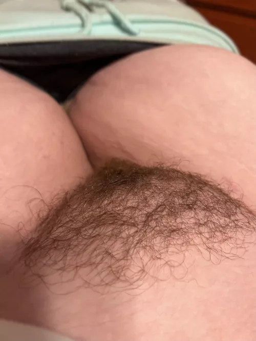 It’s becoming a jungle by devilishbrooke