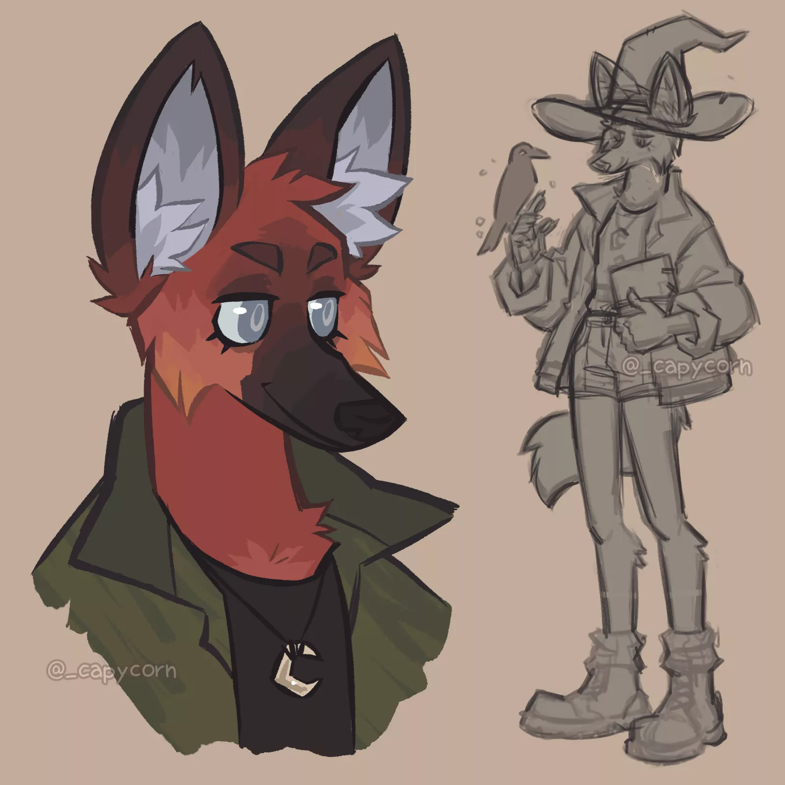 Maned wolf✨✨✨ posted by _capycorn