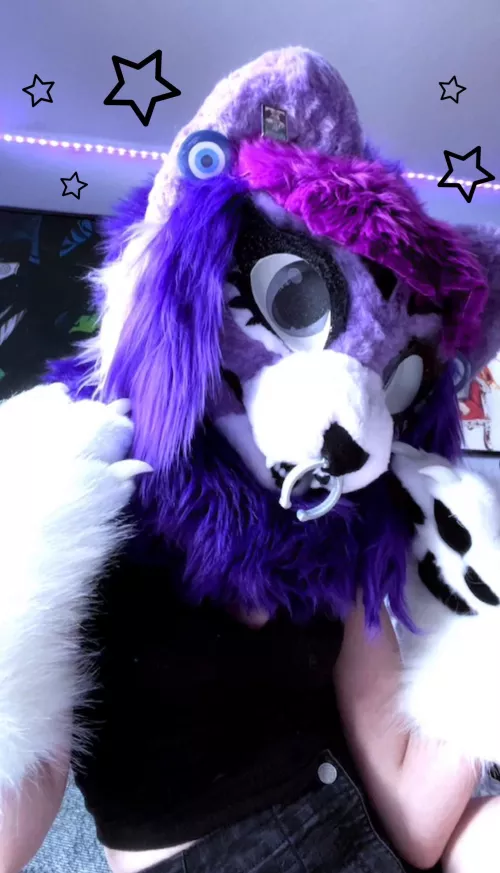 New fursuit! by kanobites