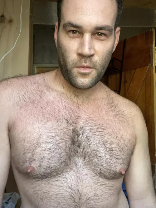 The nipples are screaming out to be nibbled on and trust me I want it xoxox by Zaaaaddddyyyy