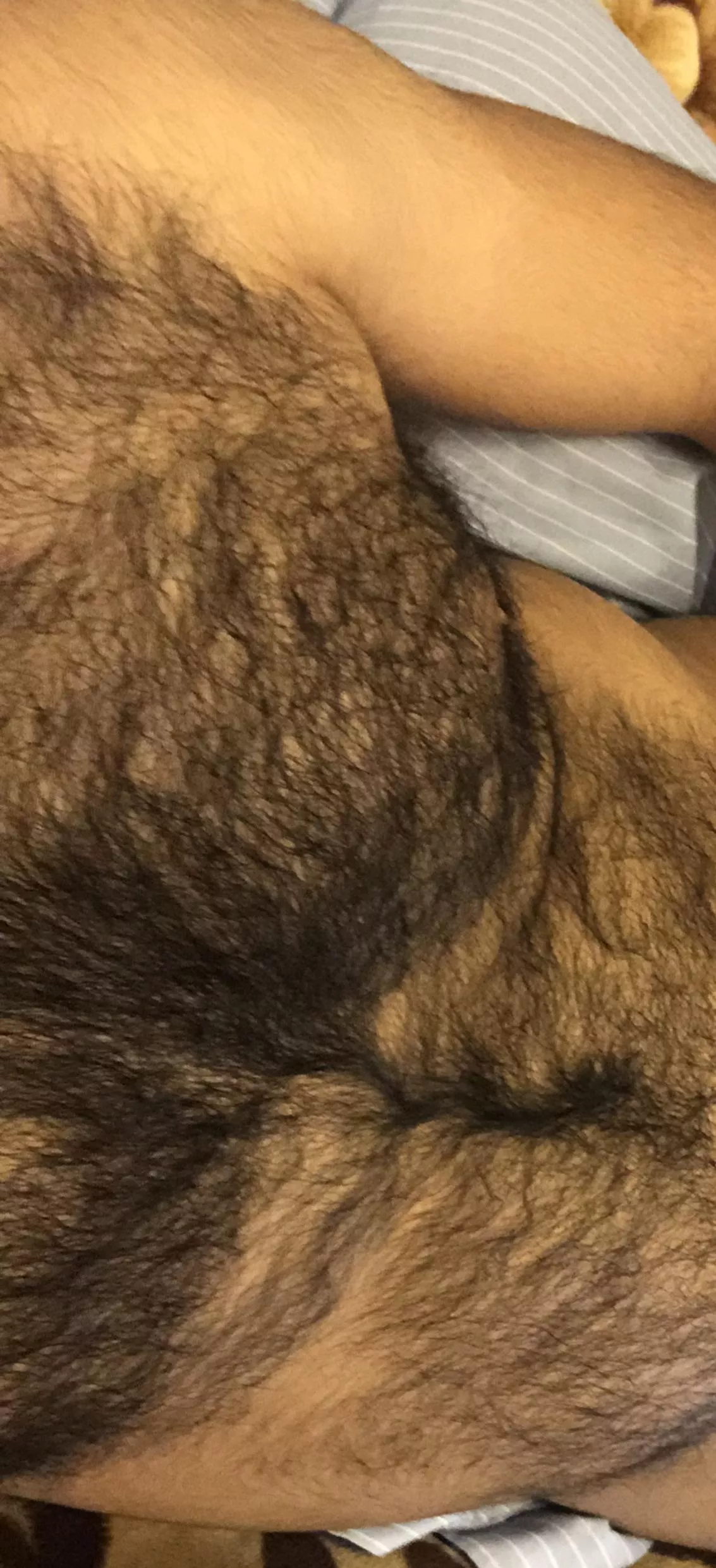 27 m big hairy muscle dude with cut thick dick add me up lactosetaje posted by cokodooshi