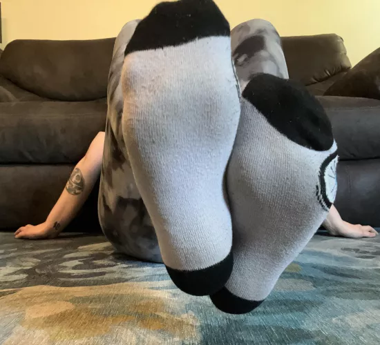 Don’t you wish you could smell these by [deleted]