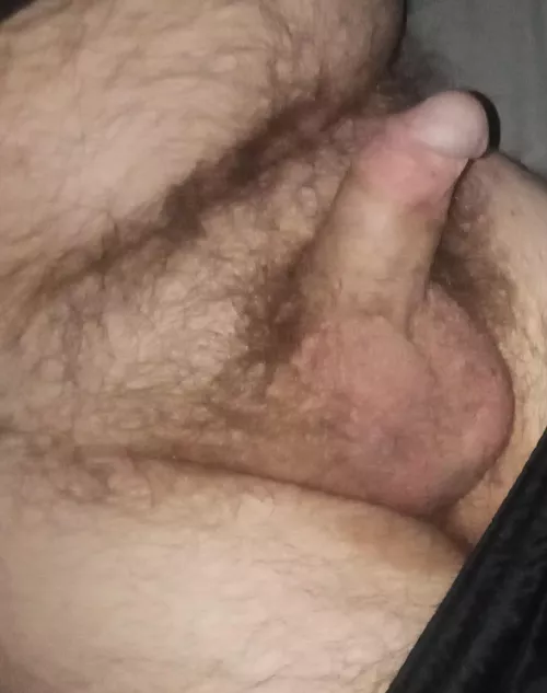 Happy Saturday! by Ok_Potential_9738