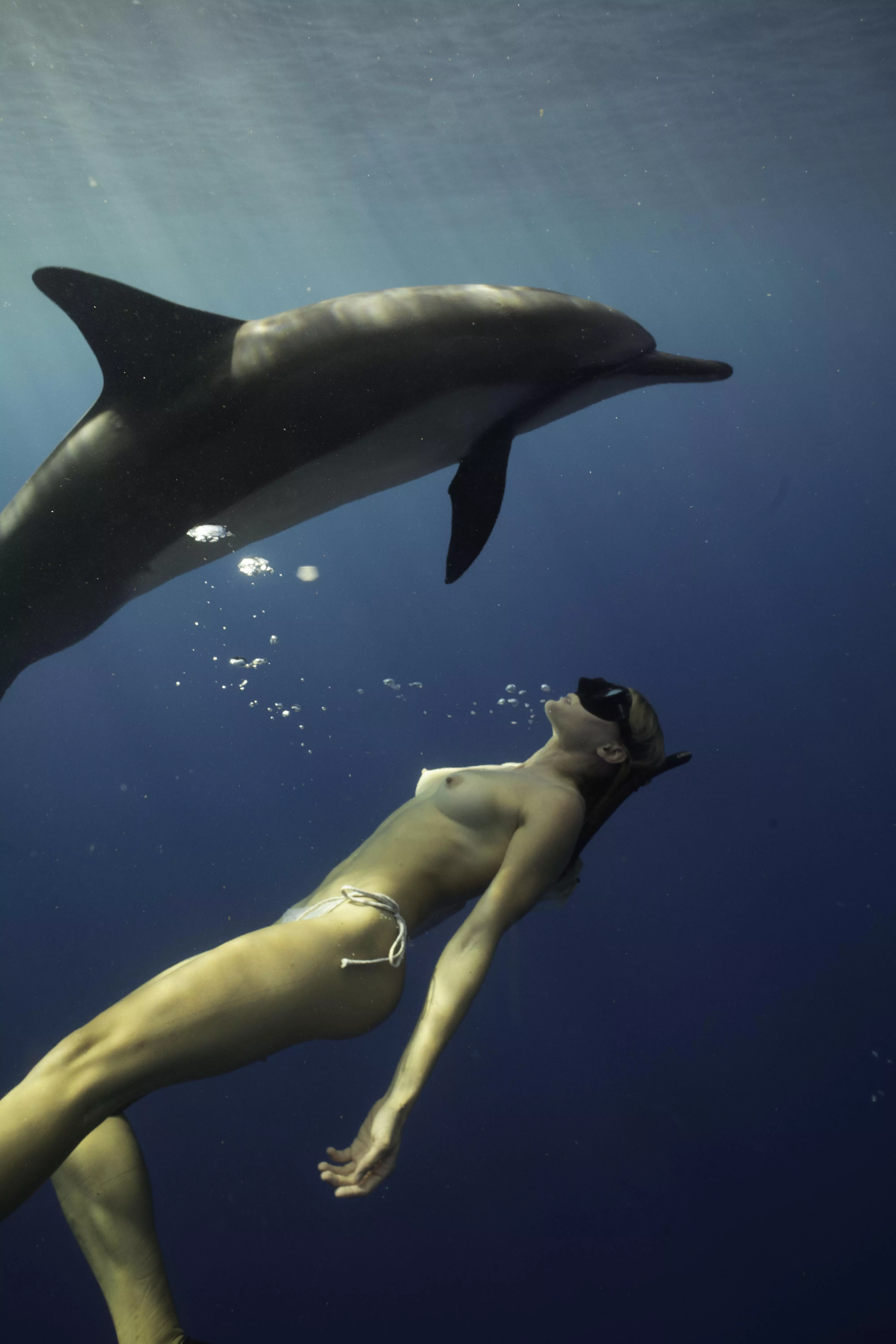 No freedoms greater than swimming topless with the dolphins… posted by bunnydailynews