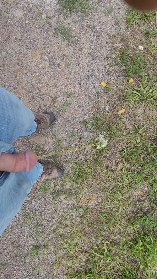 Sometimes you just have to go by ThenUnderstanding259