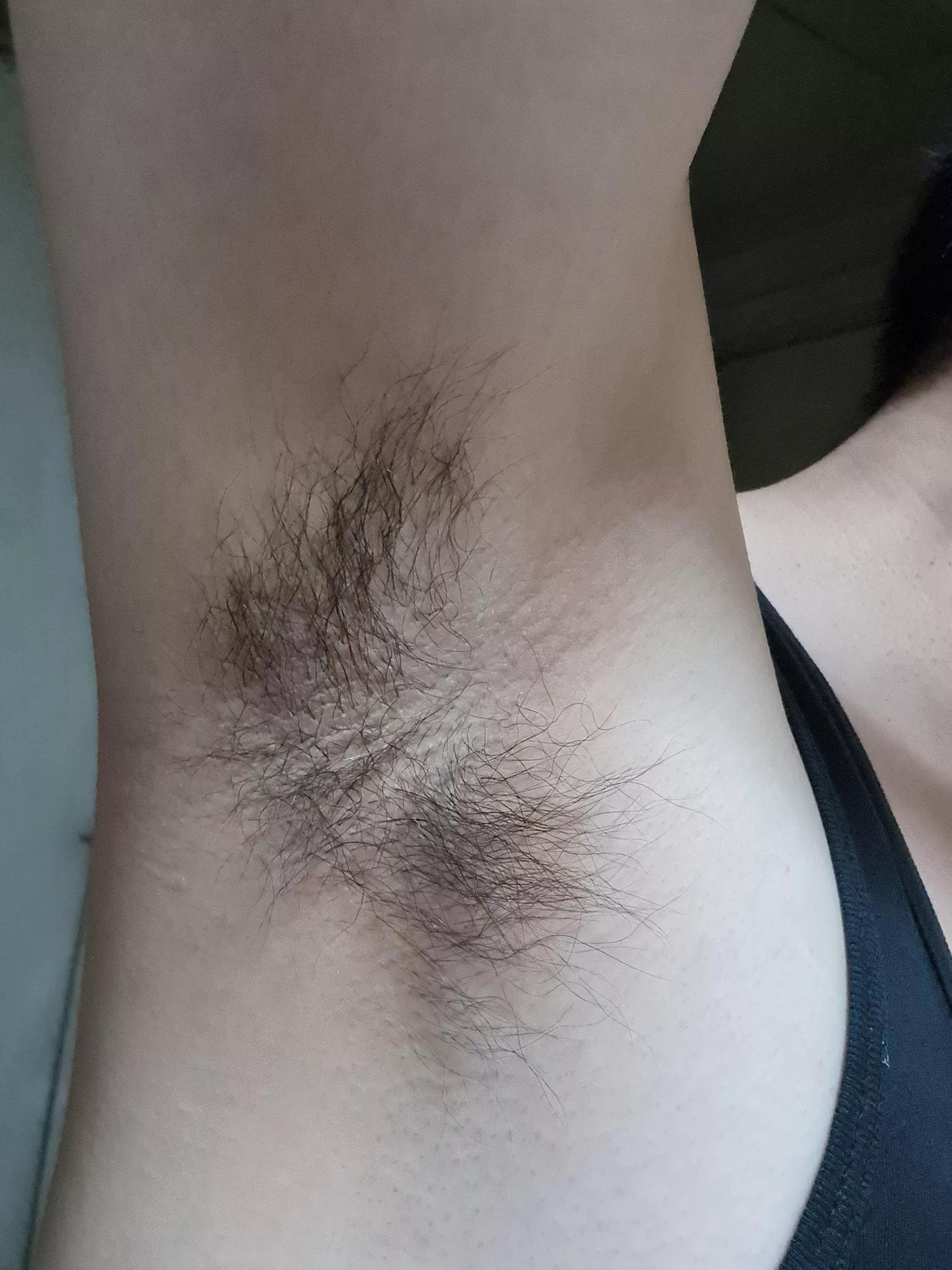 Hairy enough? posted by Benevolence1973