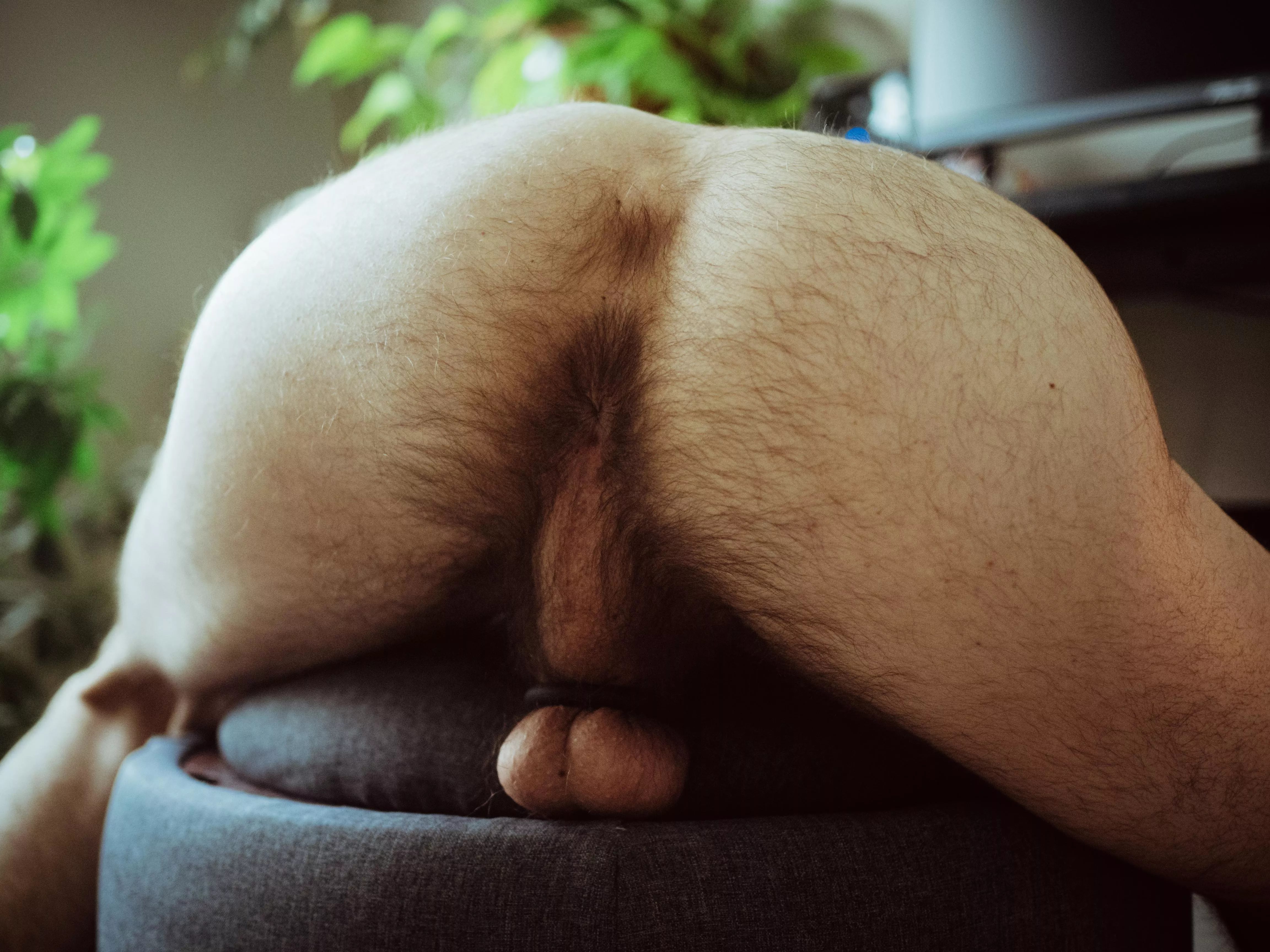 I don't have much chest hair sadly, but does this count as an otter ass? posted by Jonnyspares
