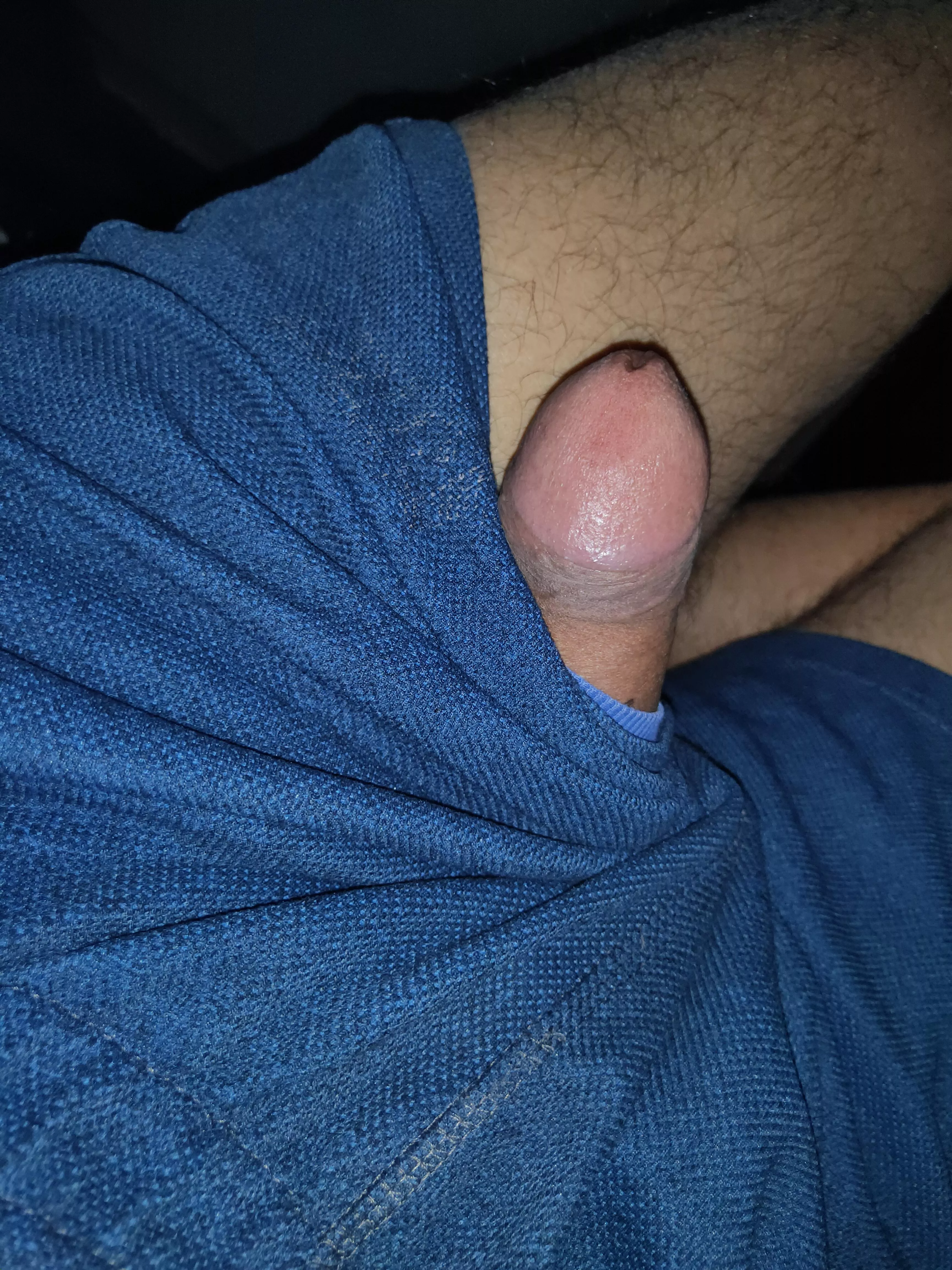 Trying hard to get out from shorts, OC posted by Xplorer_69