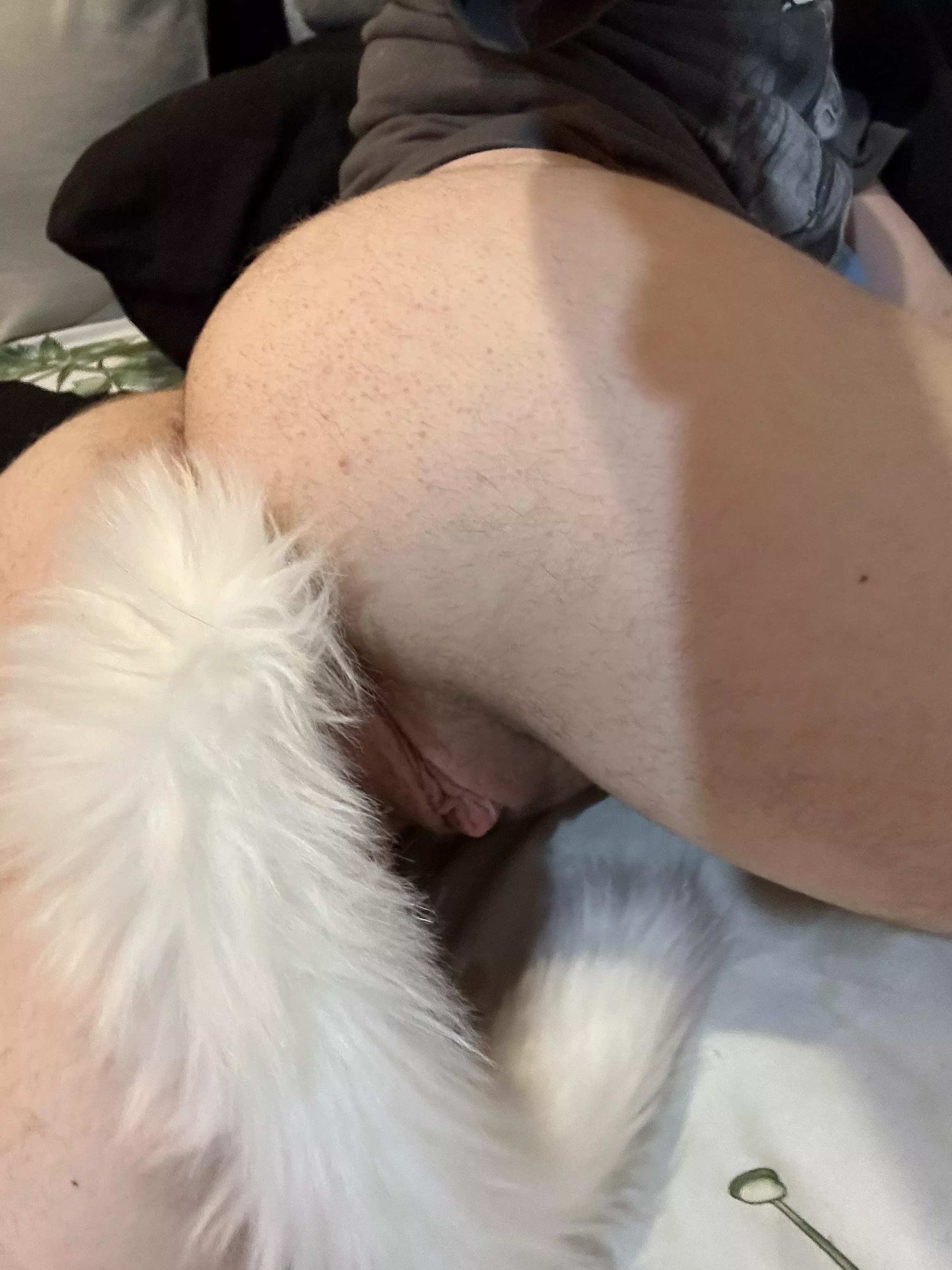 I want someone to turn me into their dog, this tail plug makes me act up posted by transtwinkie