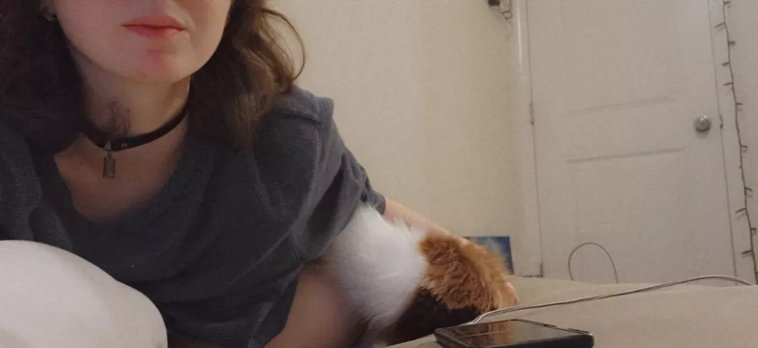 Little ginger tail by DreamCreamKitten