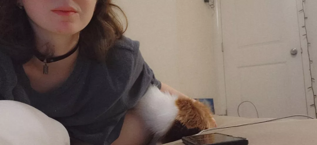 Little ginger tail posted by DreamCreamKitten