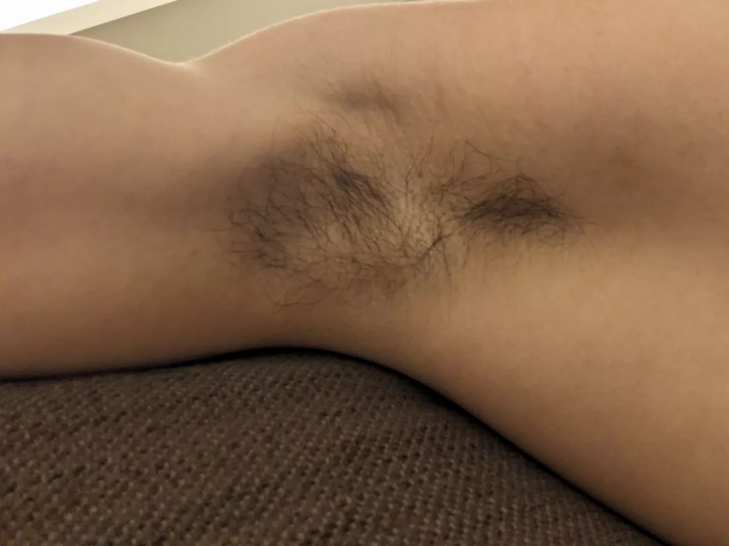 My musk makes me so horny posted by Responsible_Wrap_302