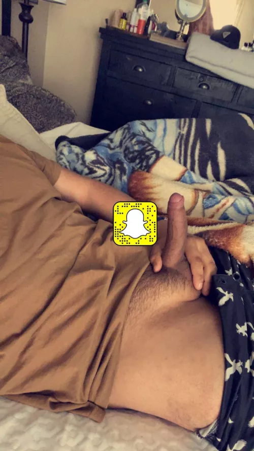 20m 5 inch chub looking for a jo bud by Global-Bid9014