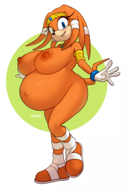 Knocked up (Pufftor/DeviantArt) by SonicSpeedster18