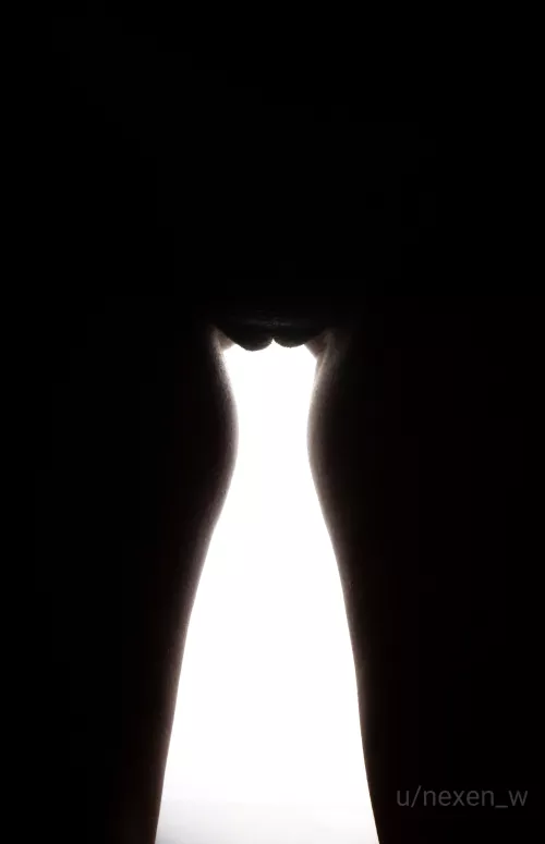 Light pussy... by nexen_w