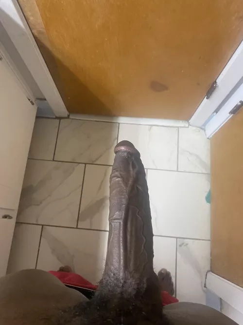 Who can take it all? by PlaneFormer5403