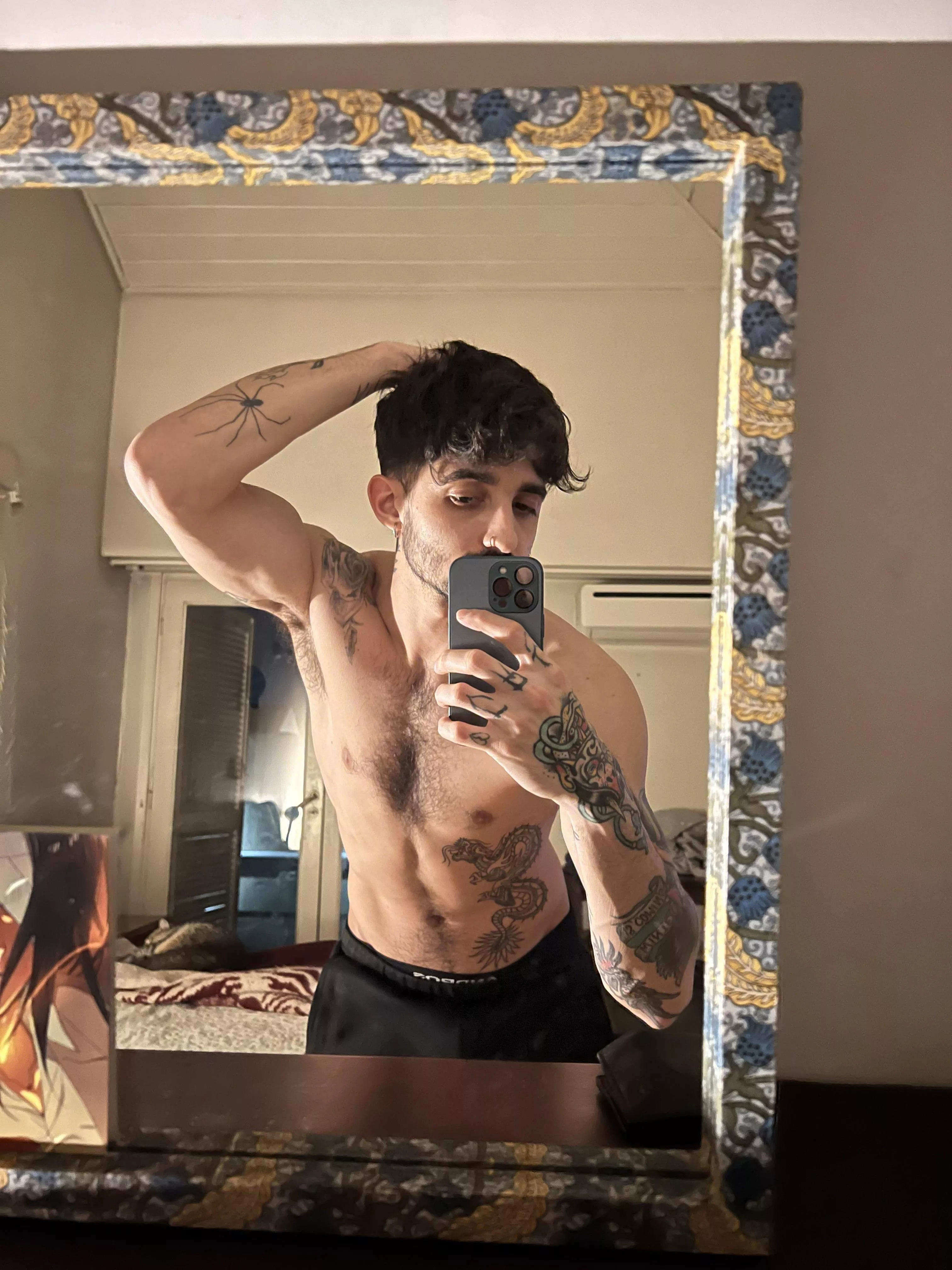 are you into latin studs? posted by fffffrancis