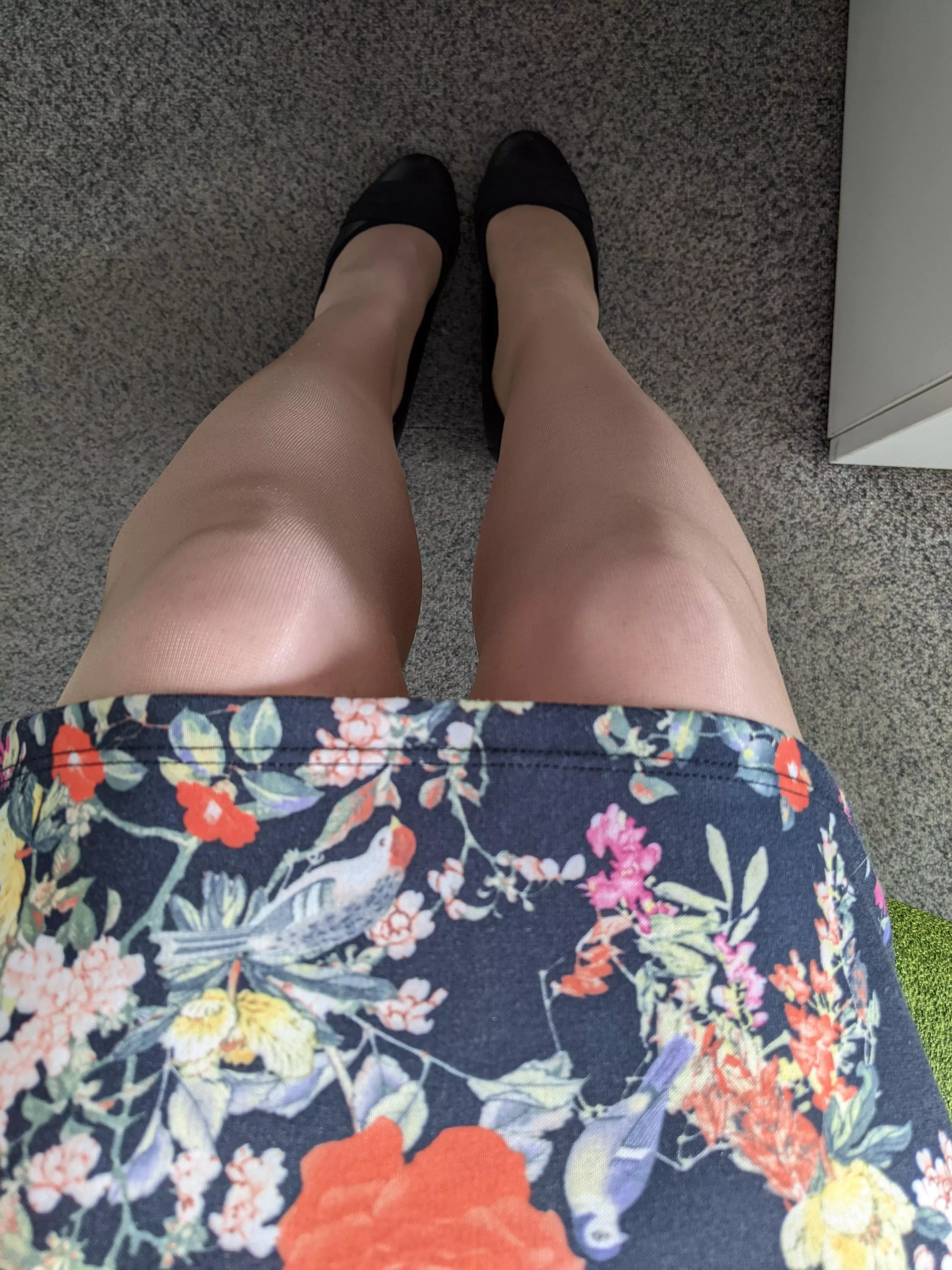 Bringing some sunshine to the office today posted by lonely_chameleon_