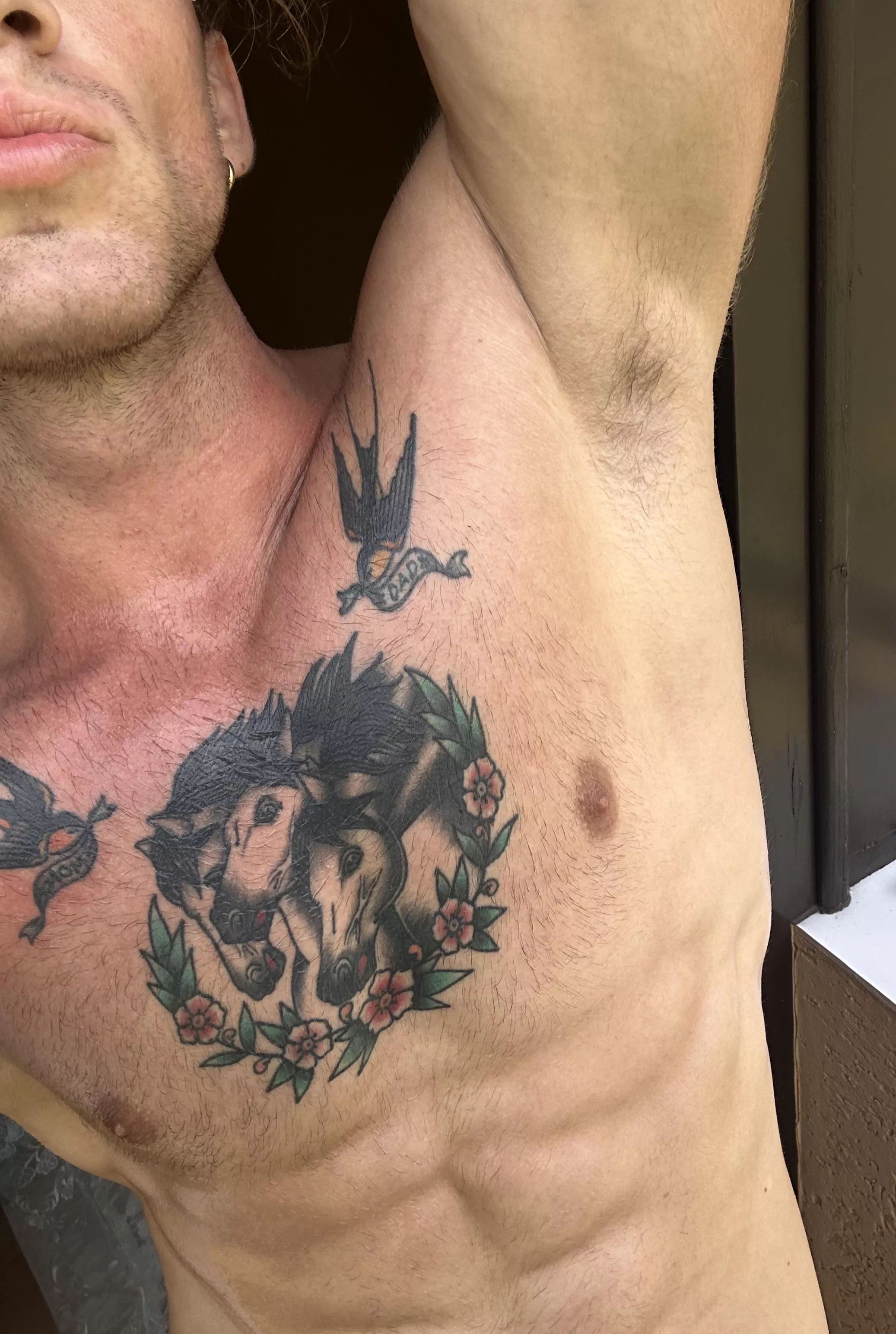 Growing my fur back posted by haael12