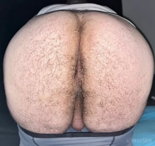 Having a taste or filling me up? by ViktorSlick