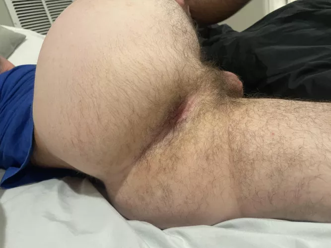 I kept it tight and hairy for you. DM open by Embarrassed_Essay634
