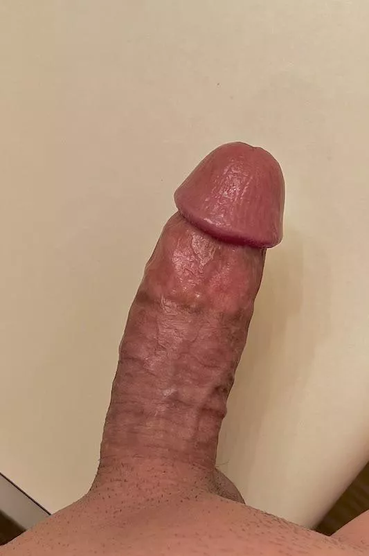 Let’s compare cocks! posted by glitter_coast2064