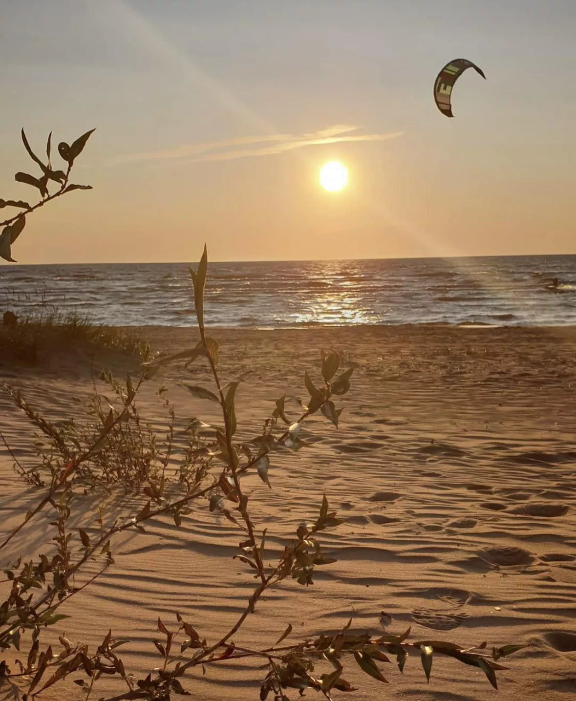Lilaste beach, Latvia posted by catfacebabe