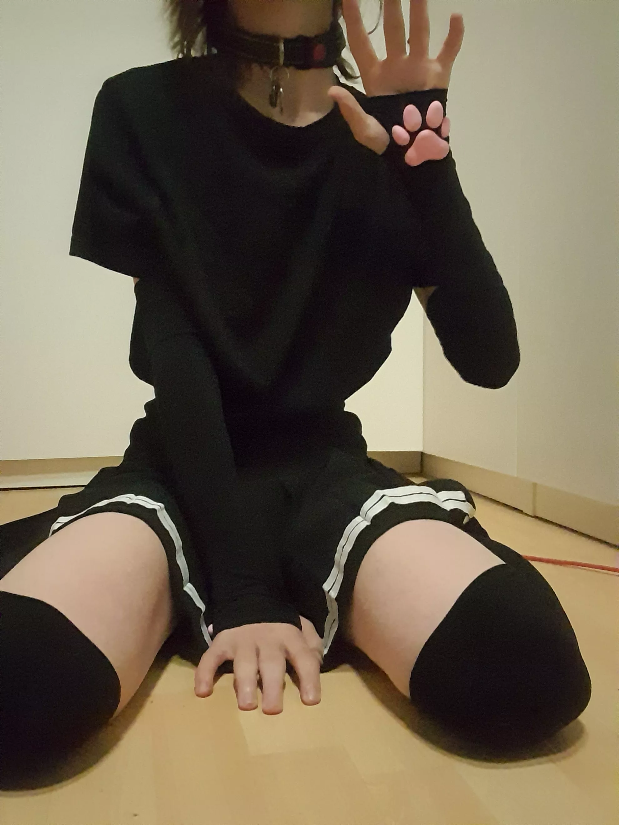 Meow :3 posted by swartj