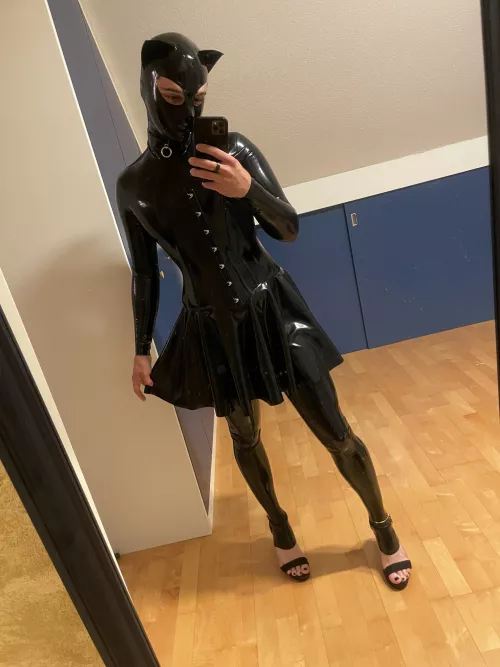 Meow 😼 by Lucasthem8