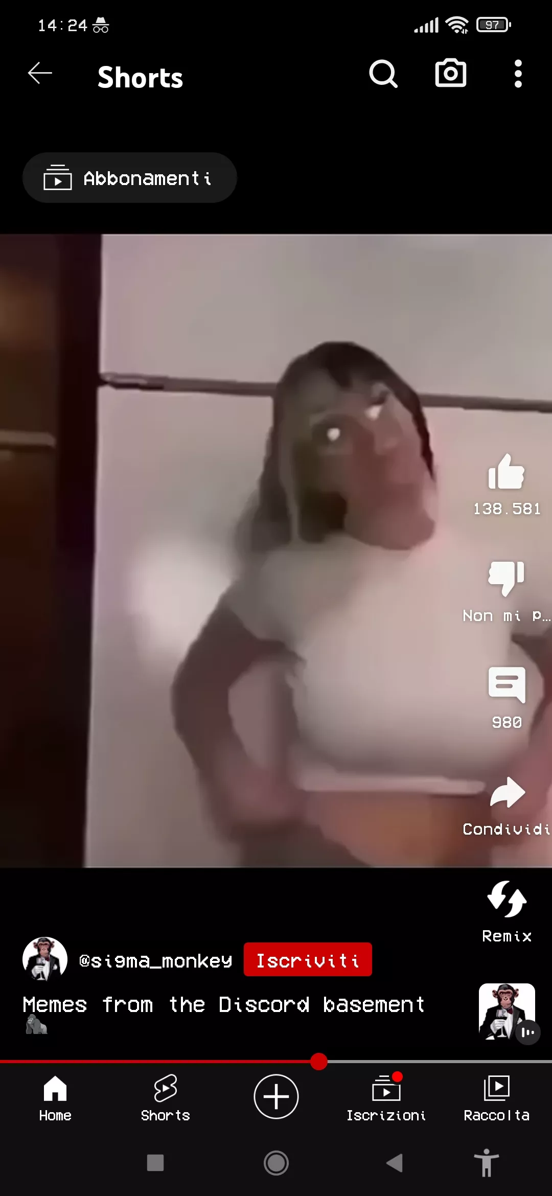 name/link? posted by Physical-Presence-45