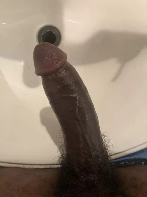 Need someone in Chicago to drain me, i don’t plan on pulling out by ChocolateBBC97