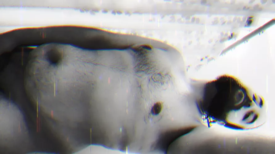 Owning my cub body 😝 by thenudepoett