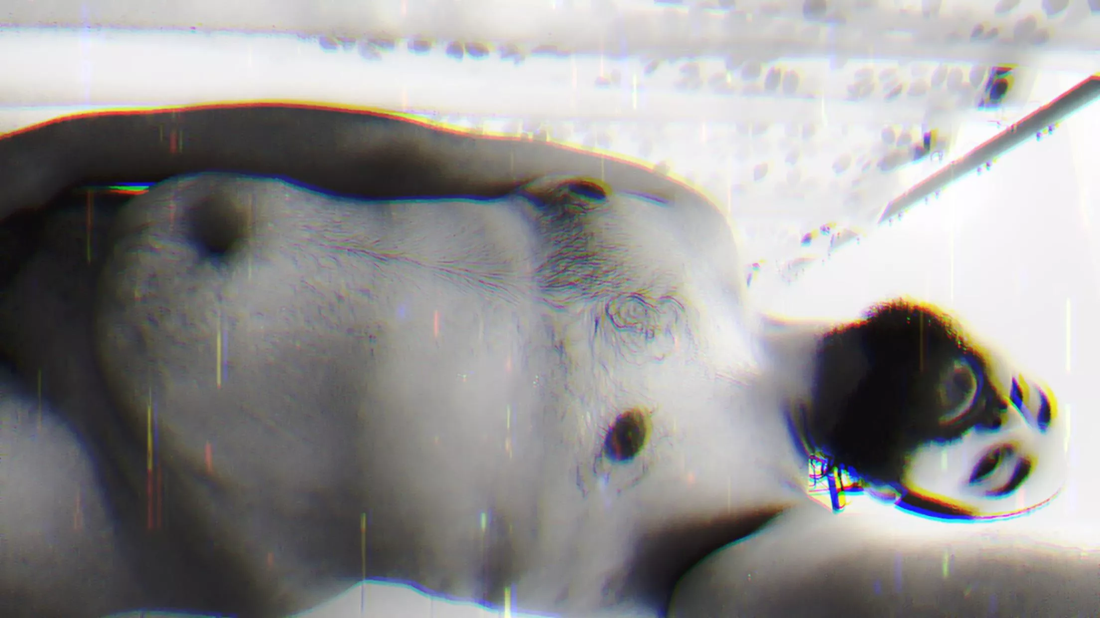 Owning my cub body 😝 posted by thenudepoett